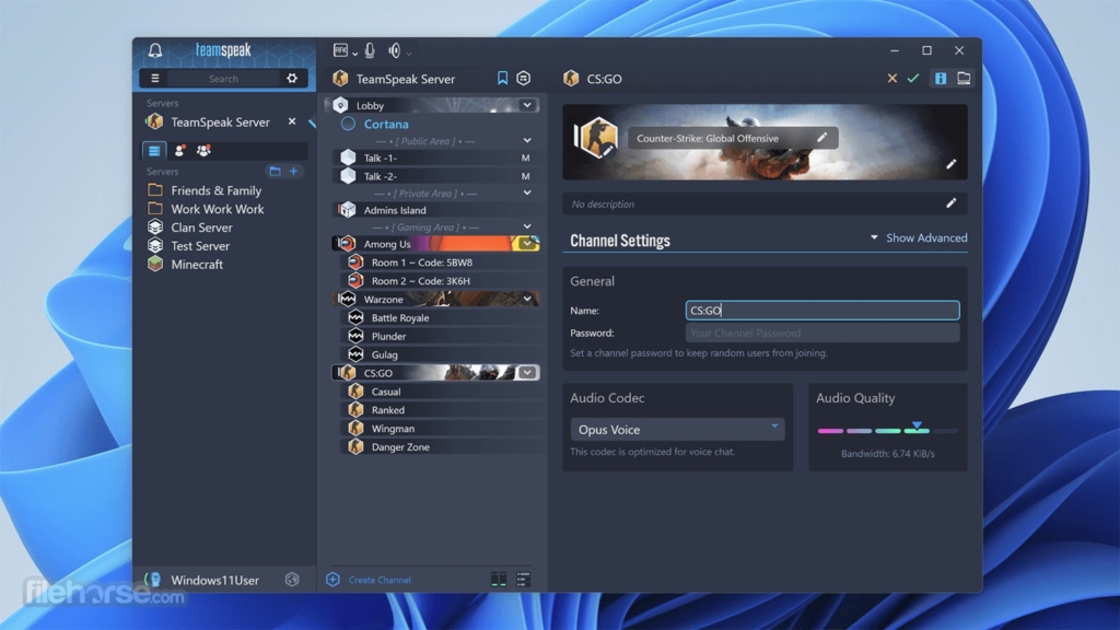 TeamSpeak