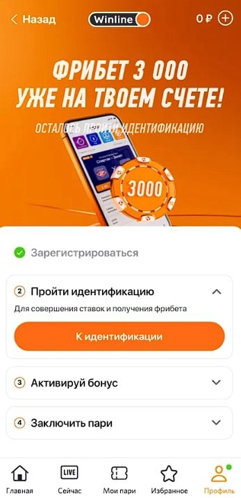 Упрощённая Винлайн идентификация