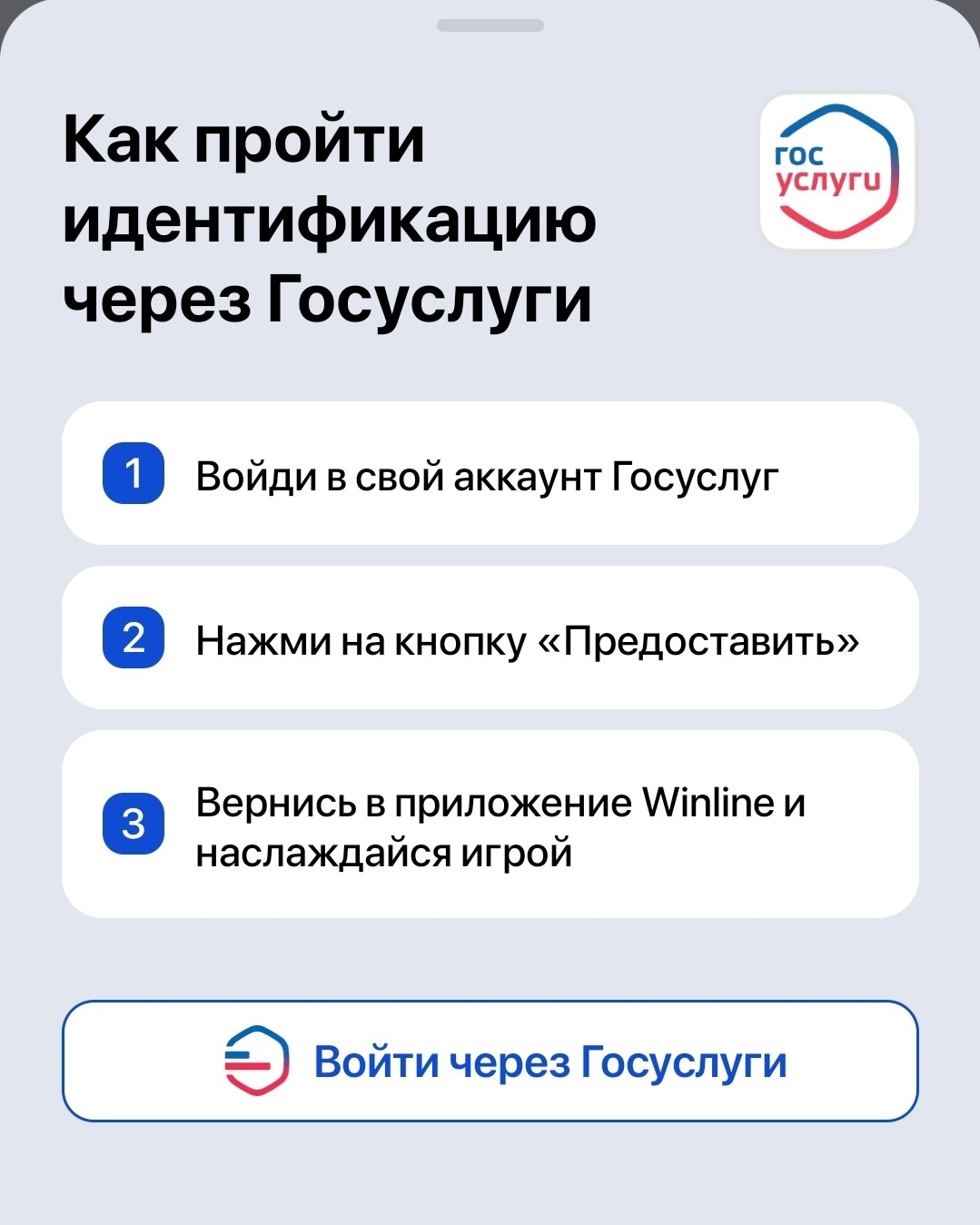 Идентификация Винлайн с помощью «Госуслуг»