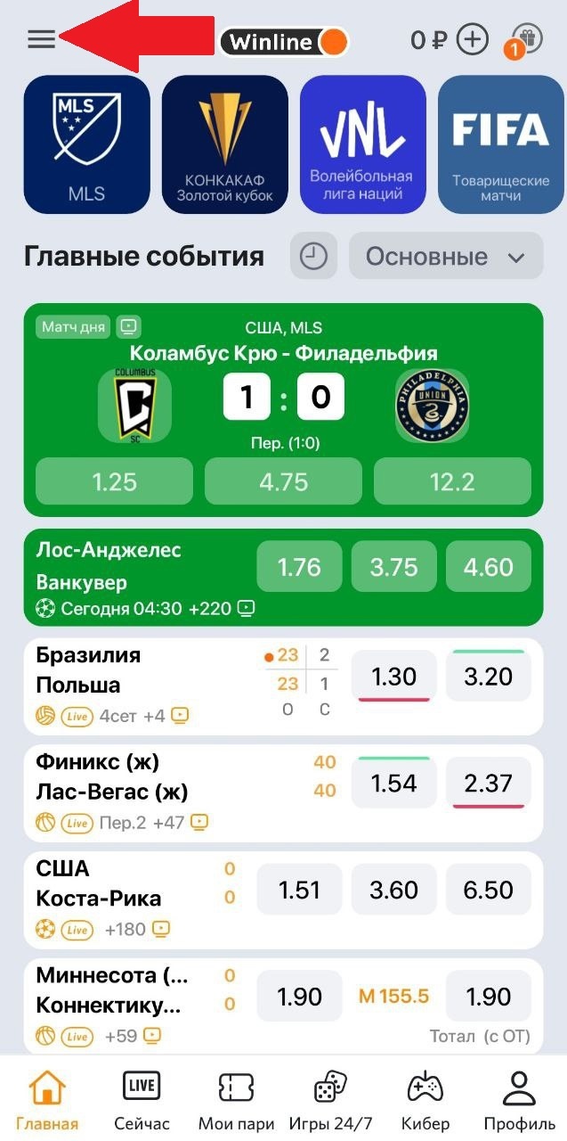 Как сделать ставку в Винлайн?